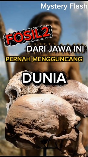 THE JAVA FOSSIL THAT SHOOK THE WORLD!!! #mystery #shorts #mystery