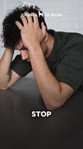 🐶 Got a new puppy that’s chewing, barking, and ignoring you? Our Puppy Training Package builds strong foundations for obedience, potty training, and calm behavior—so your pup grows into the perfect companion. ✅ No more accidents ✅ Listens to basic commands ✅ Learns good habits from the start Available now at Topanga Pet Resort — we offer pick-up too! | Master Dog Training