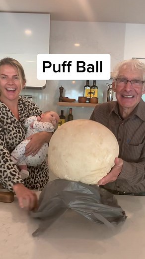 It happened 🙁 A hard no #puffball #mushroom #ohno #katherinewants