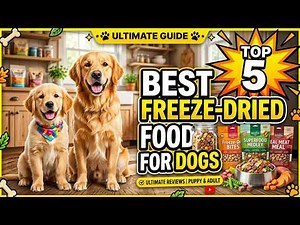 ✅Top 5 Best Freeze-Dried Dog Foods for 2026 | Which One Is Best for Your Dog?