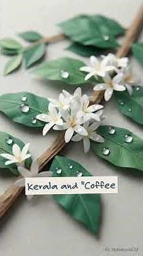 State-10th-Social Science -Chapter-11- INDIA - SEASONS