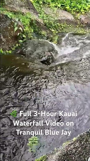 Hidden Kauai Waterfall 🌿 Relaxing Water Sounds #hawaii #sleep