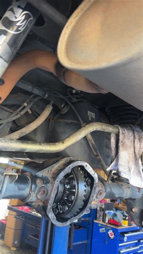 PLUG PERFORMANCE 🔌 (@plugperformance)’s videos with original sound - PLUG PERFORMANCE 🔌