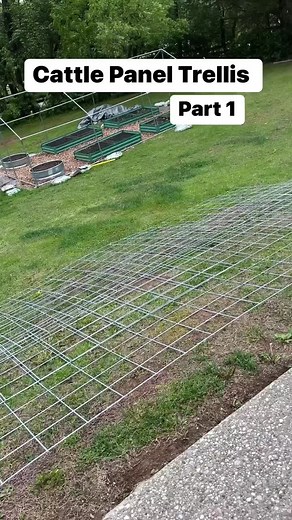 Vertical Gardening Prep with Cattle Panel Trellis | Grow Your Own Food