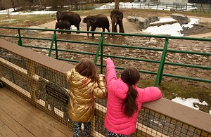 Why do schools take February break? We can do without the quality time (Editorial)