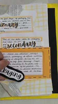 CBSE XII BUSINESS STUDIES PROJECT FILE