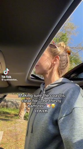 Hamster Sunroof Challenge: Trending Fun!