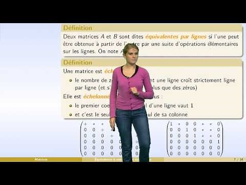 Matrices - partie 5 : inverse d'une matrice : systèmes linéaires et matrices élémentaires