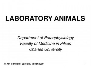 LABORATORY ANIMALS - SlideServe