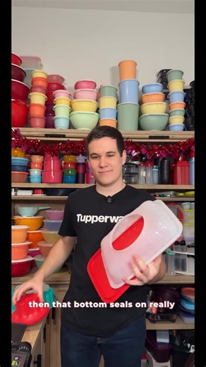 Freezer Mates Plus Container with Snowflake Design, Stain Guard Technology, and Versatile Sizes for Efficient Freezing and Storage