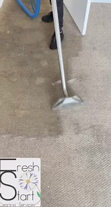 24K views · 167 reactions | Why Regular Carpet Cleaning is...