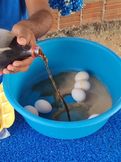 Experimento com Ovo e Refrigerante: Parte 2