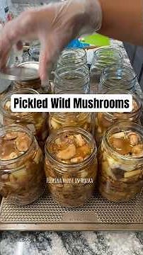 Pickled wild mushrooms #pickle #mushroom #recipe #canning #homestead