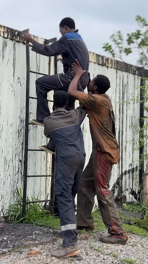 597K views · 71K reactions | ASH HADUU | Aliyu Musa Adam | Facebook