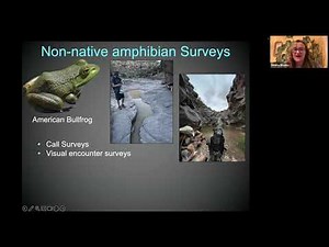 Lecture Series: Bullfrog Eradication & Citizen Science