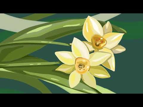Floral Free Tv Art Wallpaper Screensaver Home Decor | Vintage Flower |TV Screensaver