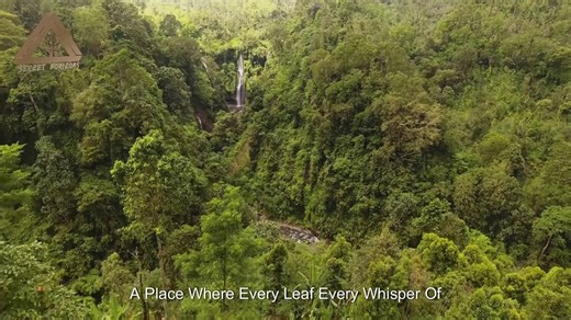 Secrets Of The Amazon Rainforest