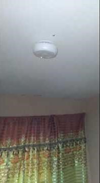 Do you have a smoke alarm in your home？