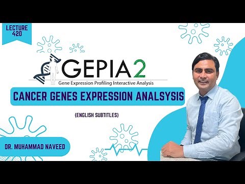 Cancer Genes Expression analysis | GEPIA2 | DEG Survival Analysis| Lecture 420 | Dr. Muhammad Naveed