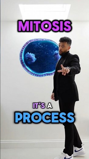 Mitosis Explained - GCSE Biology