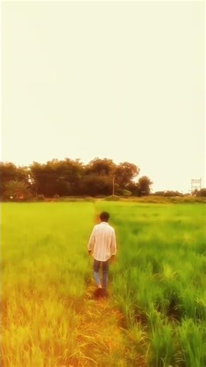 sad status video download