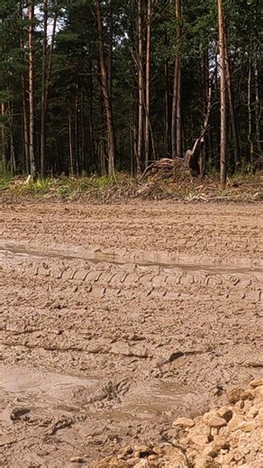 66K views · 2.5K reactions | Recce has entered the chat...亮 Reconnaissance Squadron is making its way to the starting line in the training area in preparation for Ex OAK RESOLVE. Recce Sqn gathers real time intelligence on enemy positions, movements, and terrain to support a rapid decision making process. #BalticDefense #WeAreNATO #DeterAndDefend Multinational Division North Multinational Corps Northeast | NATO Multinational Brigade Latvia | Facebook