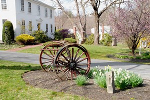 Understanding The Chain of Command