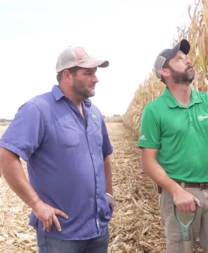 🌽 What is a seedling blight? Live to Farm 🌽 Watch full episodes with link in bio $60 👀 #tvshow #fyp #foryou #tvseries #viral #foryoupage #tiktok #series #tvclips #televison #youtube #discoverychannel #acrestv #rfdtv #tvtok #farming #livetofarm #farmlife #tvshowfan #tvshowaddict #agtv #agriculturaltv | Live To Farm