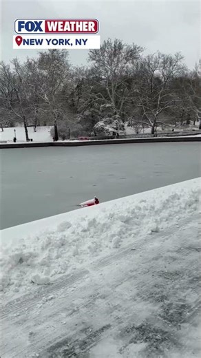 #snow Day In New York City When Central Park Transformed Into A #winter Wonderland #nyc