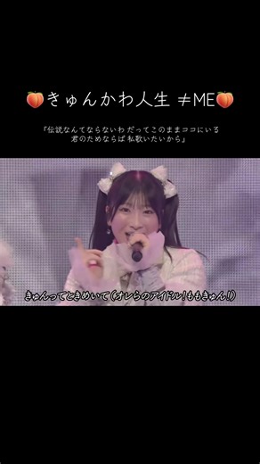 きゅんかわ人生: ノイミーの魅力を解剖