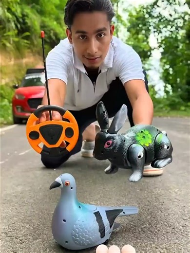 Unboxing AMR Birds and Remote Control Rabbits Toys