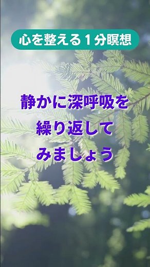 1分瞑想 今ここに戻る マインドフルネス瞑想 心を整える 誘導瞑想 #shorts