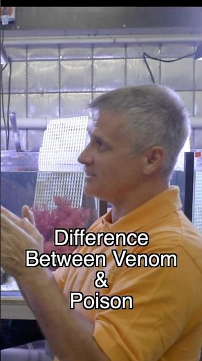 VENOM vs. POISON - What's the Difference?
