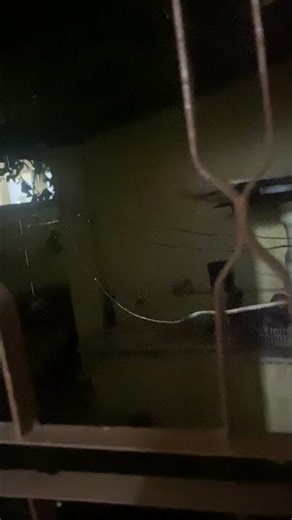 O que é antinatalismo?