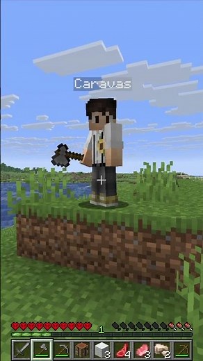 Die Mehrzahl von Caravas? #minecraft #caravas #challenge
