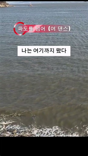#카라차 #여허스키 #댄스곡 #추천인기곡 #추천히트곡