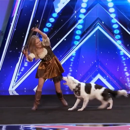 142K views · 5.3K reactions | Unbelievable Animals Take Over The AGT Stage - Ame | Talent Best | Facebook