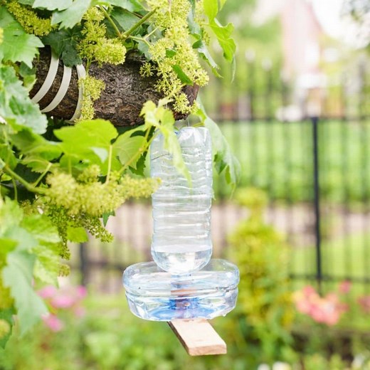 Upcycled Plastic Bottle Bird Water Feeder