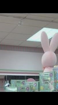 Is there really a shortage of jelly beans? Here's a look inside Malley's Chocolates