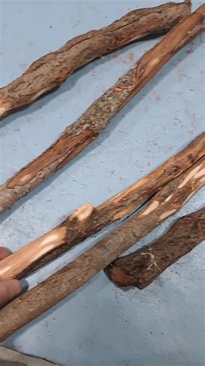 Diamond Willow Peices **5 PACK** / Carving / Whittling / Decoration - Etsy