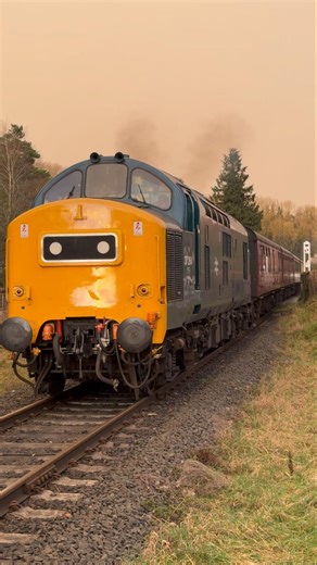 Class 37 Diesel Locomotive | Tones, Token Exchange & Mini Thrash