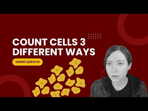 Find and count cells 3 different ways