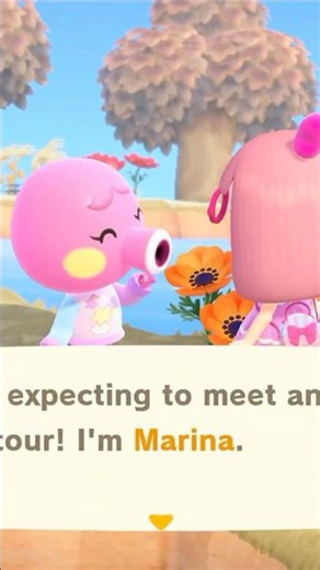 When you find your dreamie 🥰💖 #acnh #animalcrossing #animalcrossingnewhorizons