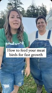 6.3K views · 6.1K reactions | If you’re not feeding your meat birds...