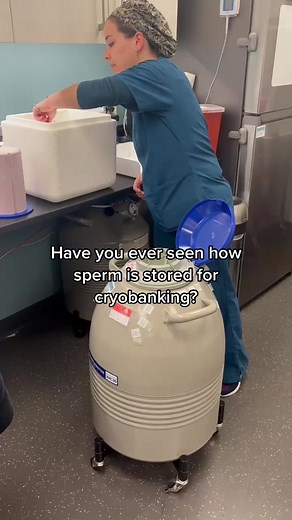 Have you ever seen how sperm is stored for cryobanking?