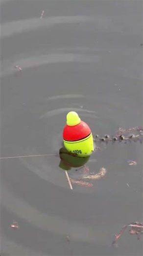 Kanama: Inventor of the World’s First Smart Fishing Bait.