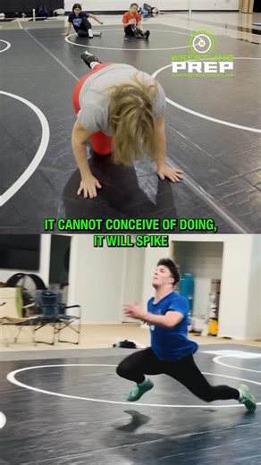 Carolyn Wester on Instagram: "In this reel Coach Carolyn is speaking during episode 1 of the Wrestling Prep podcast. She states: “The average person, when they want to learn something in wrestling, watches someone execute a piece of technique and is then asked to mimic it, regardless of age, body type, or self awareness of how they actually use their muscles. The approach I take is different: if you can teach an athlete how to use their body correctly, their ability to assimilate technique and e