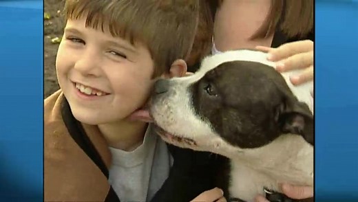 Dog bites on the rise in Ontario