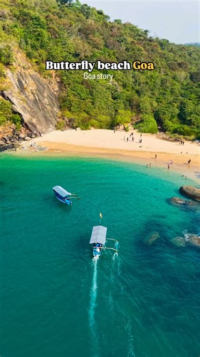 Goa story on Instagram: "Butterfly beach south goa Repost not allowed 🚫 A Hidden Paradise! 🏝️✨ Butterfly Beach in South Goa is a secluded gem with golden sand, turquoise waters, and breathtaking sunsets. Perfect for a peaceful escape! 🌊🐬 #goa #southgoa #butterfly #butterflybeachgoa #butterflybeach #agonda #agondabeach #goa #goadiaries #goastory #goastory"