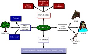 Instructional Strategies